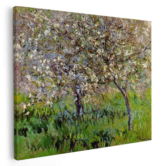Apple Trees in Bloom at Giverny (1901) by Claude Monet