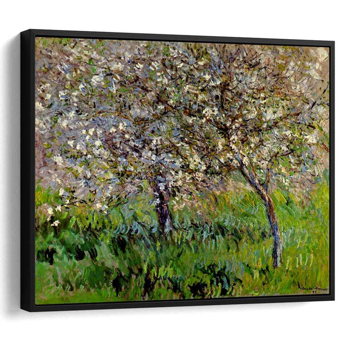 Apple Trees in Bloom at Giverny (1901) by Claude Monet