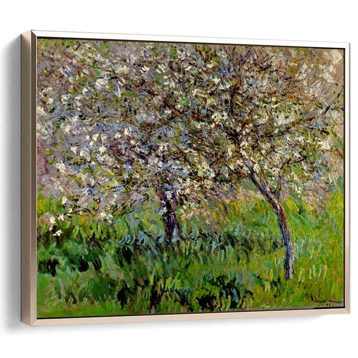 Apple Trees in Bloom at Giverny (1901) by Claude Monet