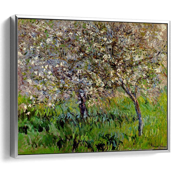 Apple Trees in Bloom at Giverny (1901) by Claude Monet