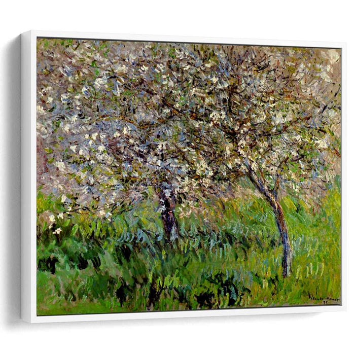 Apple Trees in Bloom at Giverny (1901) by Claude Monet