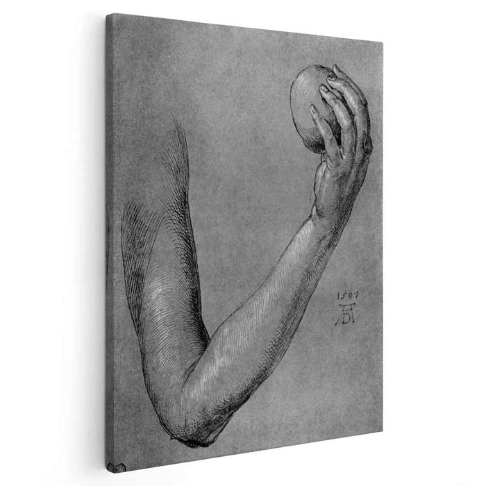 Arm of Eve (1507) by Albrecht Durer