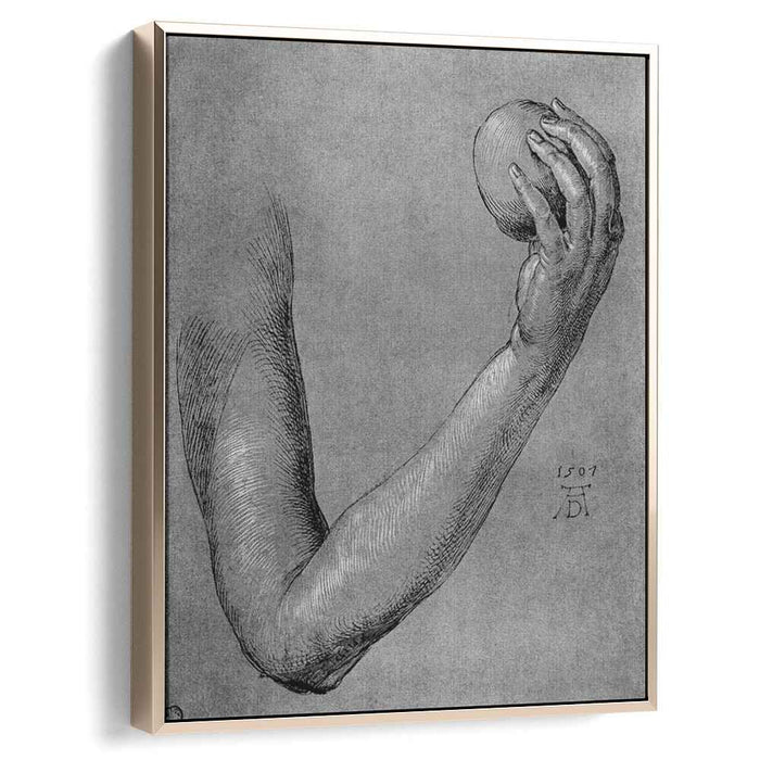 Arm of Eve (1507) by Albrecht Durer