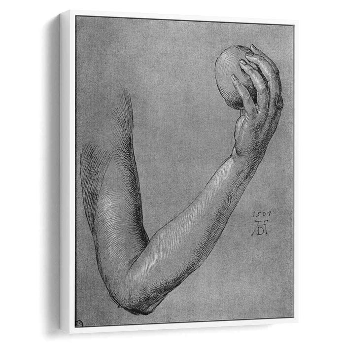 Arm of Eve (1507) by Albrecht Durer