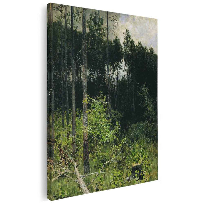 Aspen spinny. A gray day. (1884) by Isaac Levitan