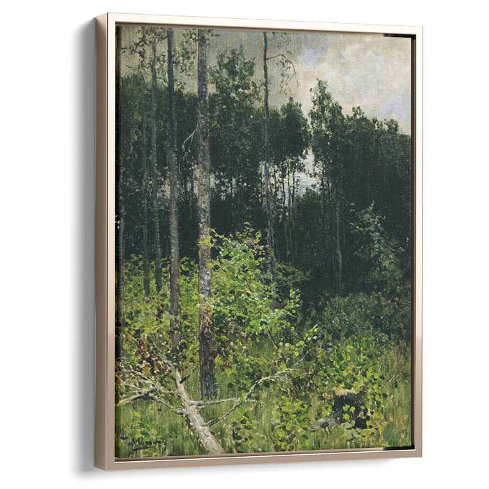 Aspen spinny. A gray day. (1884) by Isaac Levitan