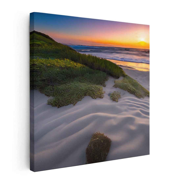 Beach Photography #011