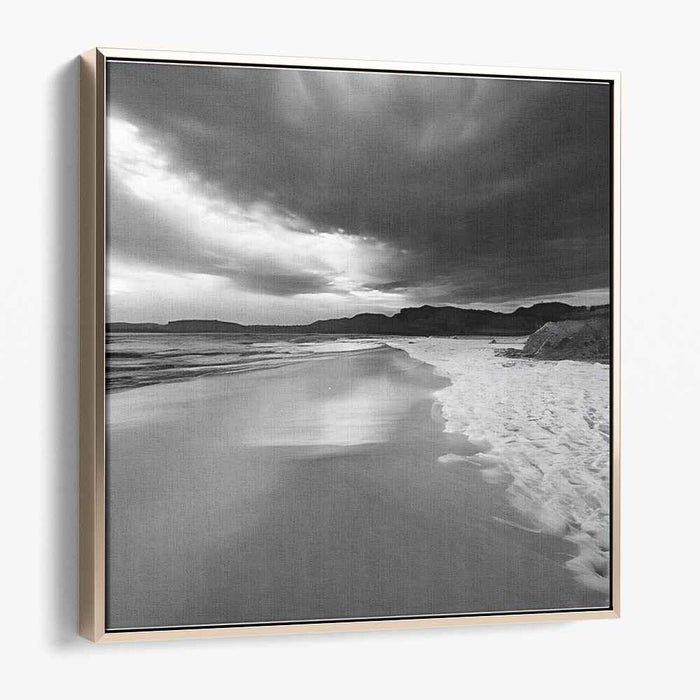 Monochromatic Seashore Drama: Dramatic Beachscape in Black and White