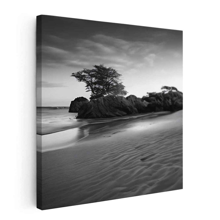 Beach Photography #037