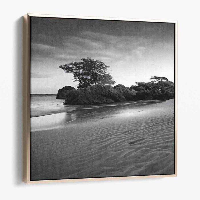 Beach Photography #037