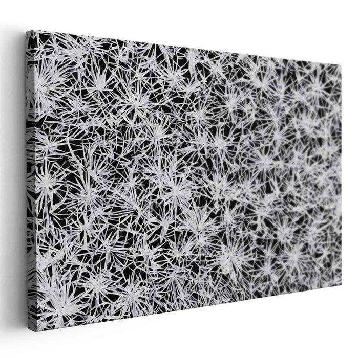 Intricate Starburst: Contemporary Black and White Abstract Canvas Art