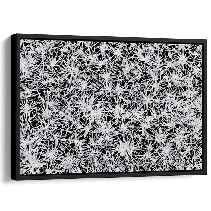 Intricate Starburst: Contemporary Black and White Abstract Canvas Art