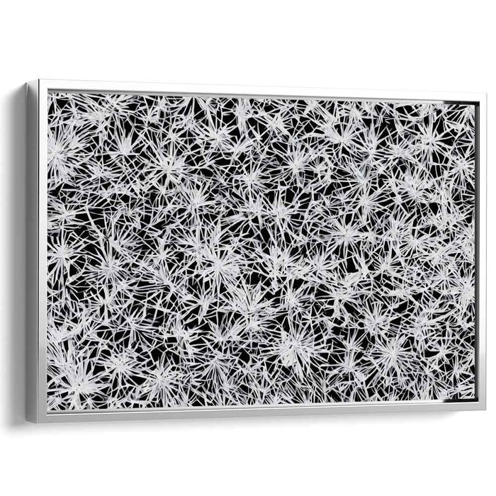 Intricate Starburst: Contemporary Black and White Abstract Canvas Art