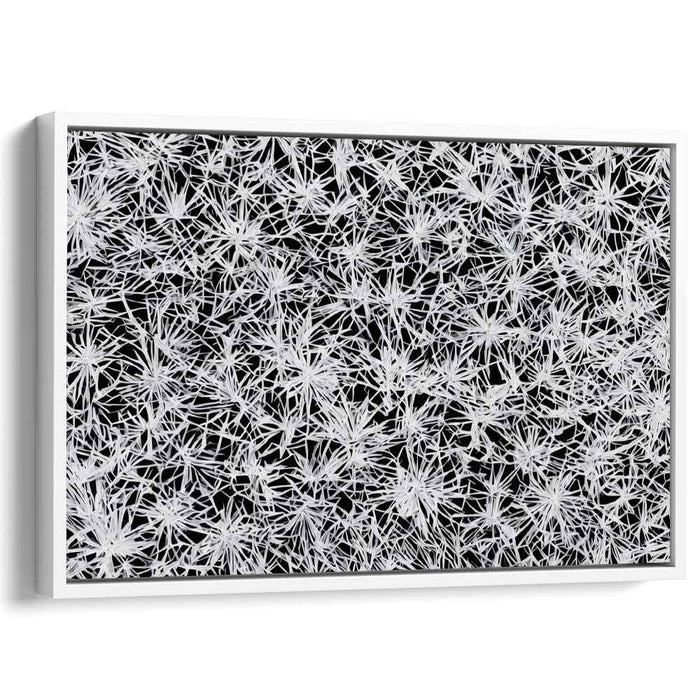 Intricate Starburst: Contemporary Black and White Abstract Canvas Art