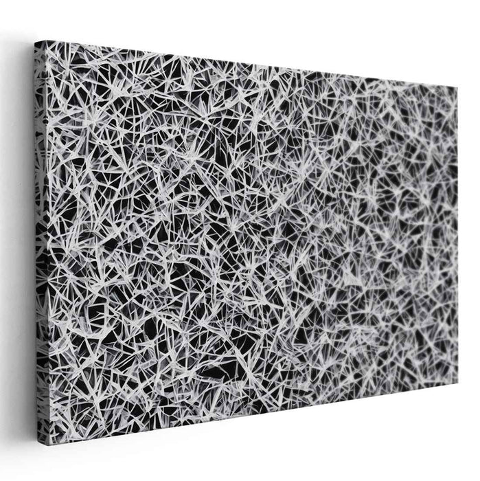 Interwoven Chaos: Black and White Geometric Abstract Canvas Art