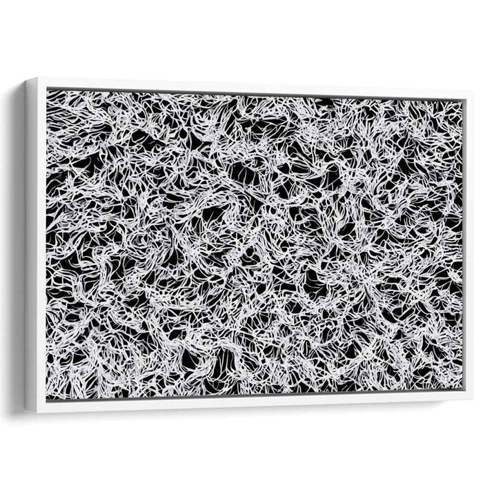 Whispers of Contrast: Black and White Abstract Line Art Canvas Print