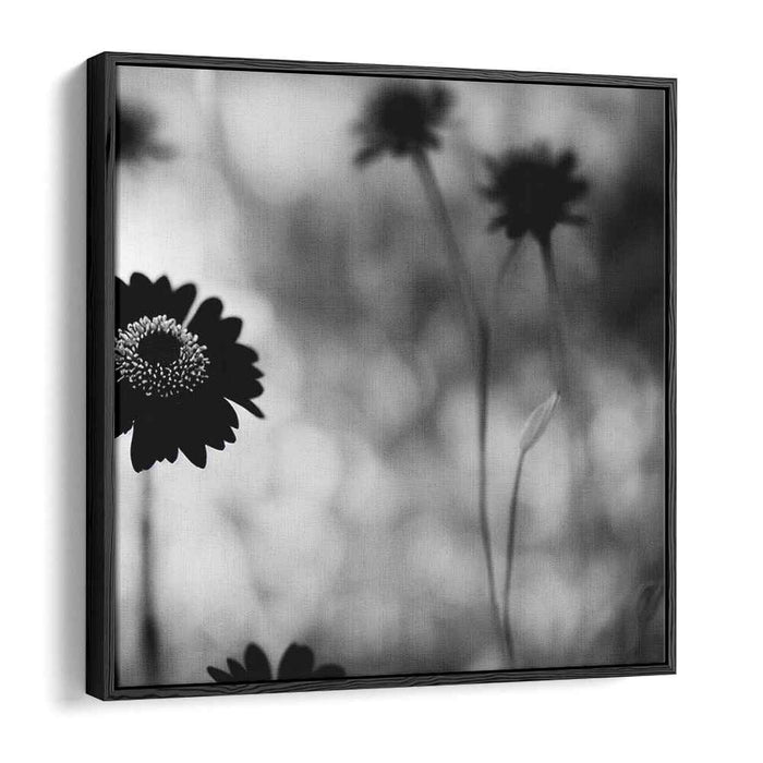 Black and White Wild Flowers #003