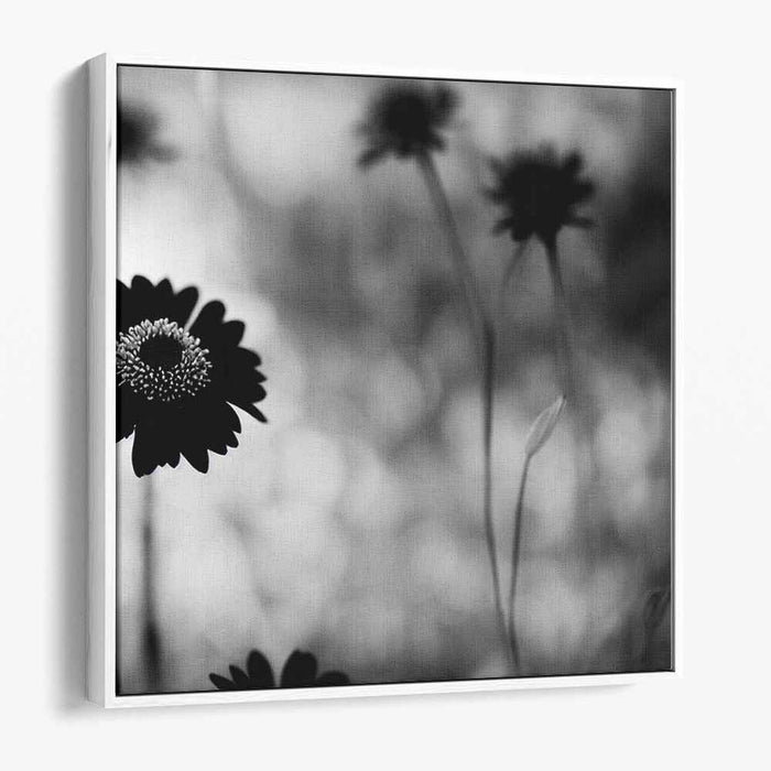 Black and White Wild Flowers #003