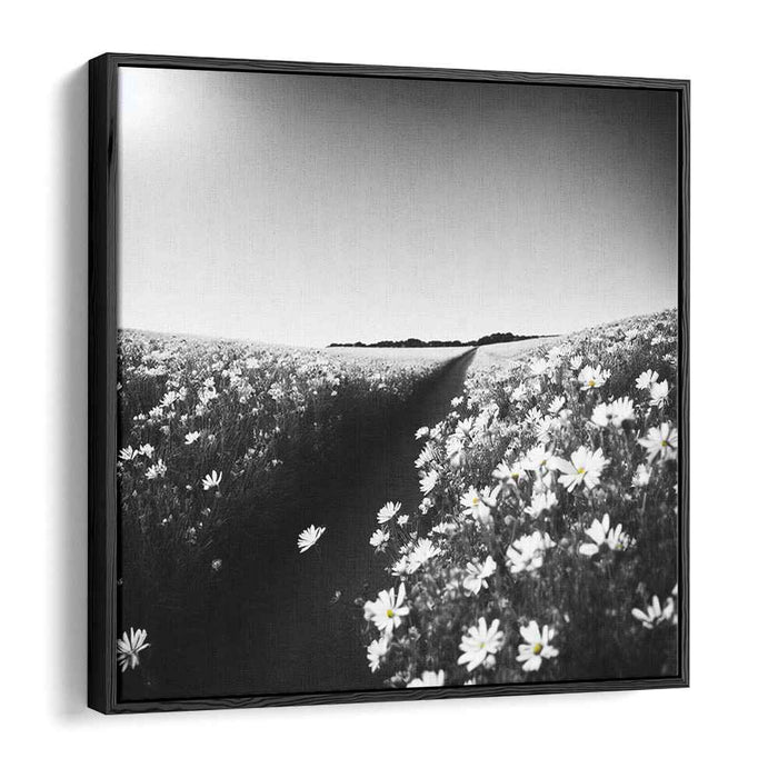 Black and White Wild Flowers #006