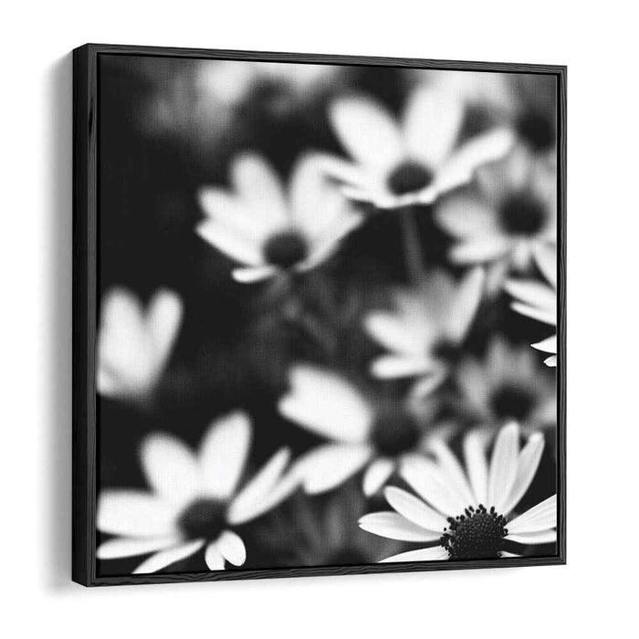 Monochromatic Petal Symphony: Black and White Daisies in Bloom