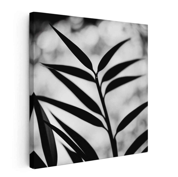 Inkwell Secrets Revealed: Monochrome Leaf Silhouette Canvas Art