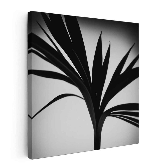 Elegance in Silhouette: Minimalist Black and White Palm Leaf Art Print