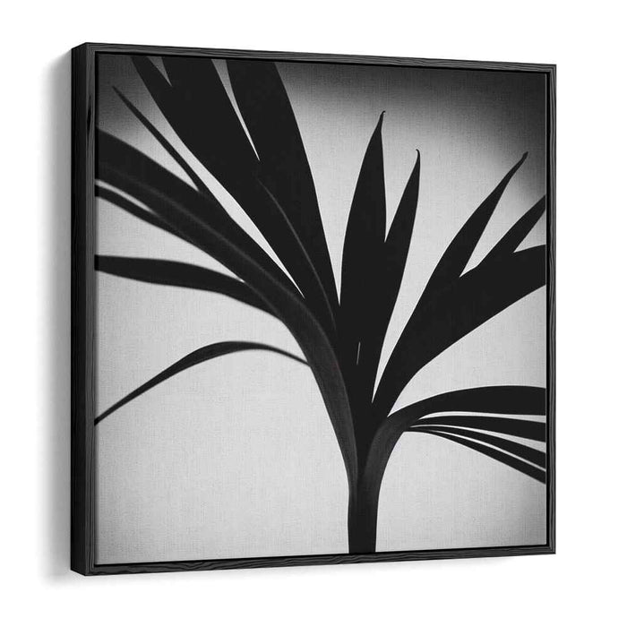 Elegance in Silhouette: Minimalist Black and White Palm Leaf Art Print