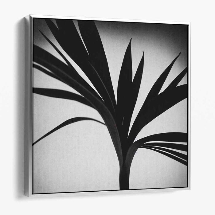 Elegance in Silhouette: Minimalist Black and White Palm Leaf Art Print