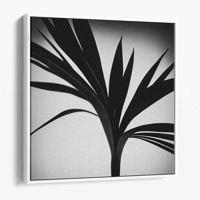 Elegance in Silhouette: Minimalist Black and White Palm Leaf Art Print