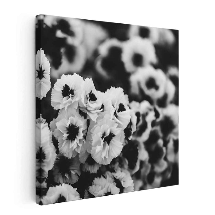 Ink Blooms Captured Serenity: Black and White Floral Fine Art Photography