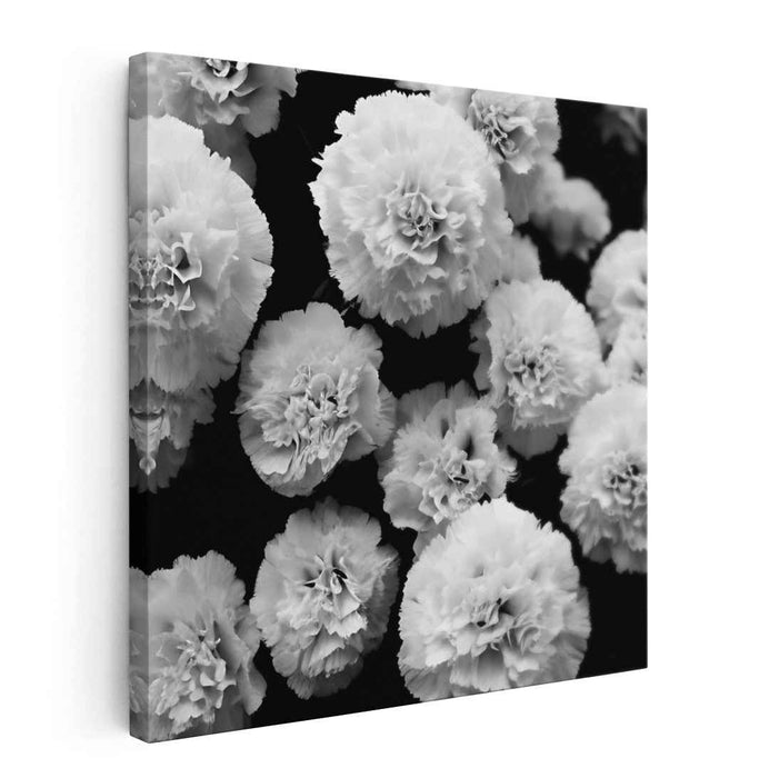 Eternal Blooms in Monochrome: Dramatic Floral Black and White Canvas Art