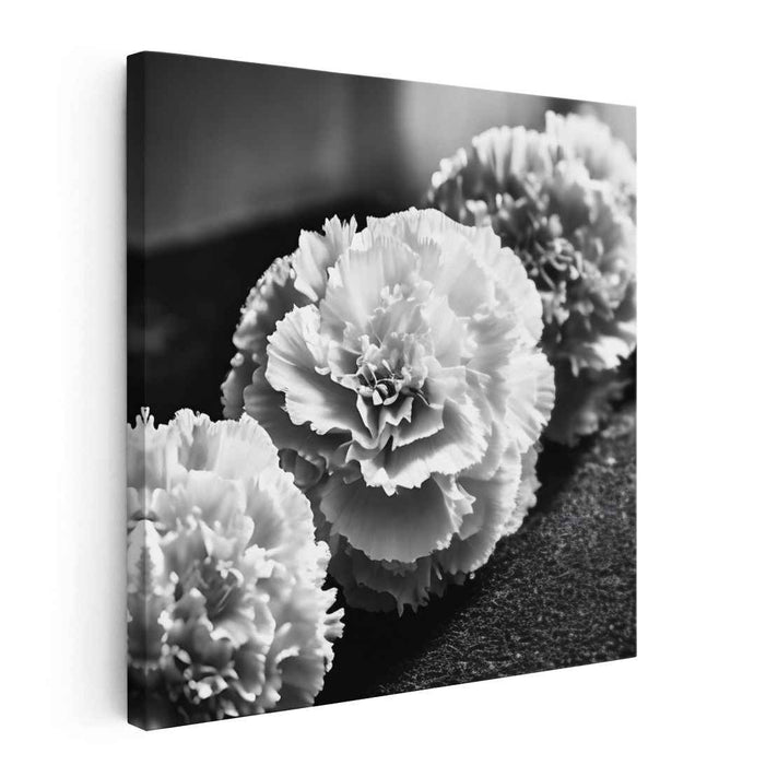 Ethereal Monochrome Blossom Reverie: Timeless Black and White Carnation Study