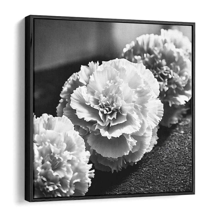 Ethereal Monochrome Blossom Reverie: Timeless Black and White Carnation Study