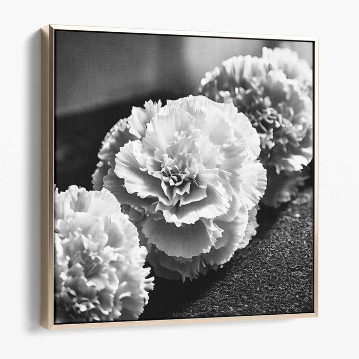 Ethereal Monochrome Blossom Reverie: Timeless Black and White Carnation Study