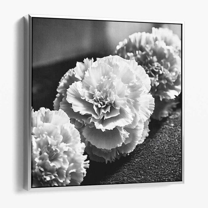 Ethereal Monochrome Blossom Reverie: Timeless Black and White Carnation Study