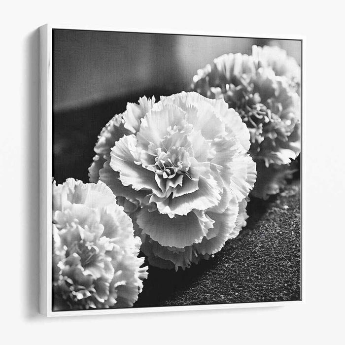 Ethereal Monochrome Blossom Reverie: Timeless Black and White Carnation Study