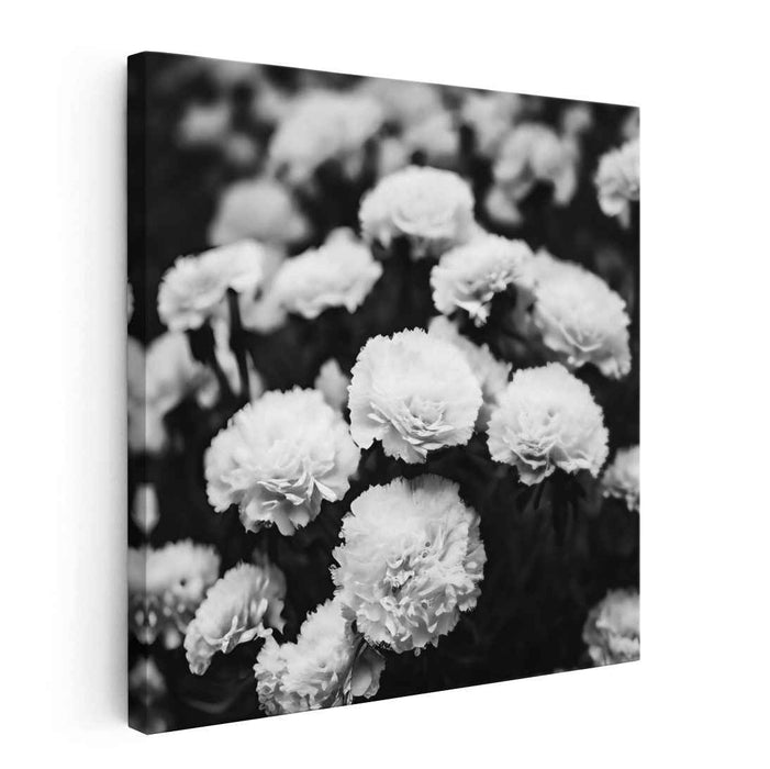 Monochrome Petal Sketch: Black and White Floral Canvas Art Print