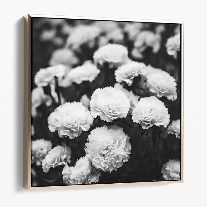 Monochrome Petal Sketch: Black and White Floral Canvas Art Print