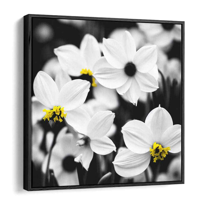 Pure Petal Radiance: Elegant White Flowers with Yellow Centers Canvas Art Print