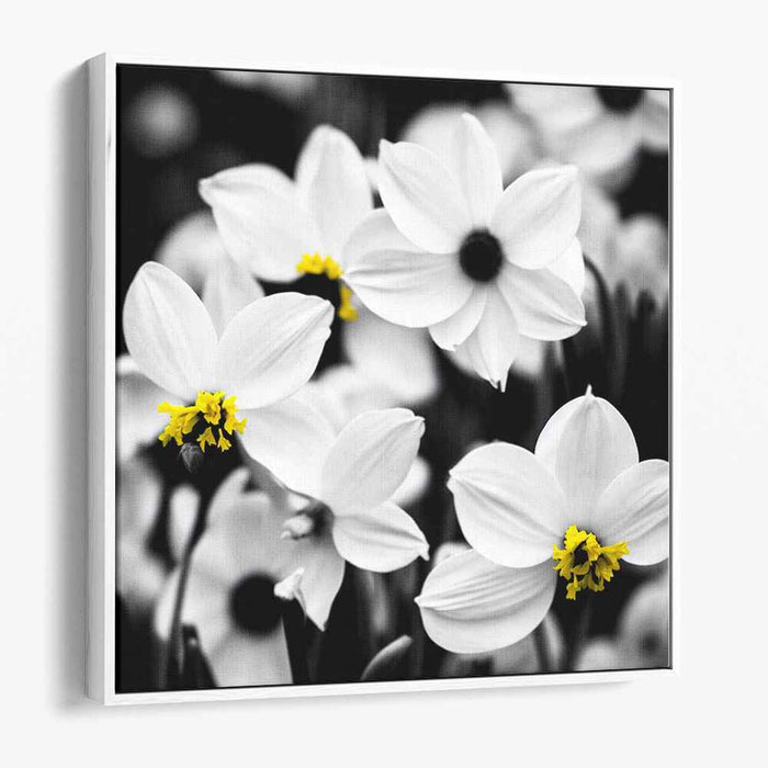 Pure Petal Radiance: Elegant White Flowers with Yellow Centers Canvas Art Print