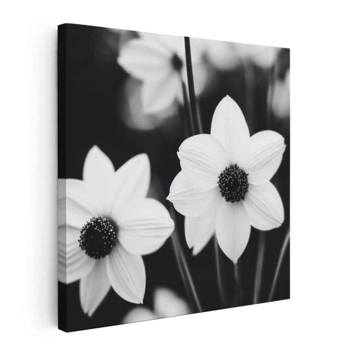 Ink Bloom Whispers: Monochrome Daisy Fine Art Canvas Print