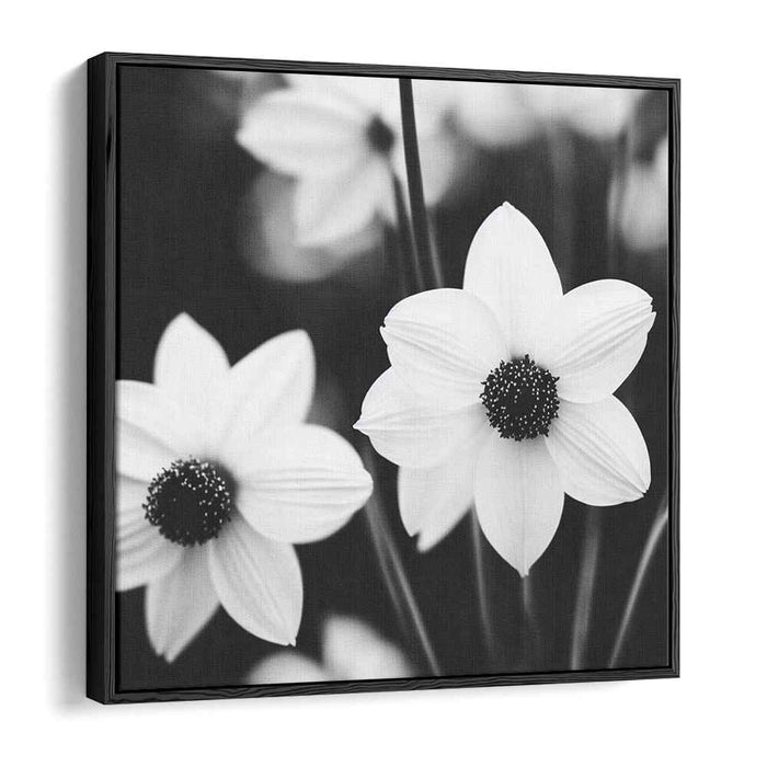 Ink Bloom Whispers: Monochrome Daisy Fine Art Canvas Print