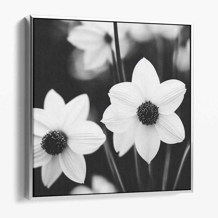 Ink Bloom Whispers: Monochrome Daisy Fine Art Canvas Print