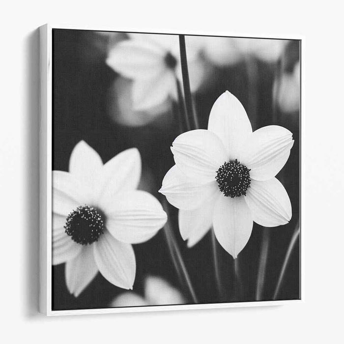 Ink Bloom Whispers: Monochrome Daisy Fine Art Canvas Print