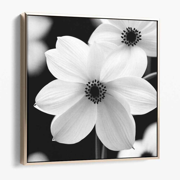 Elegant Monochrome Blossoms: Contemporary Daisy Floral Canvas Art