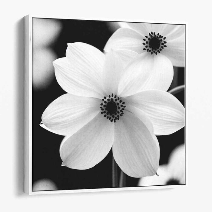 Elegant Monochrome Blossoms: Contemporary Daisy Floral Canvas Art