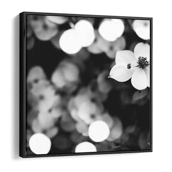Black and White Dogwood #005