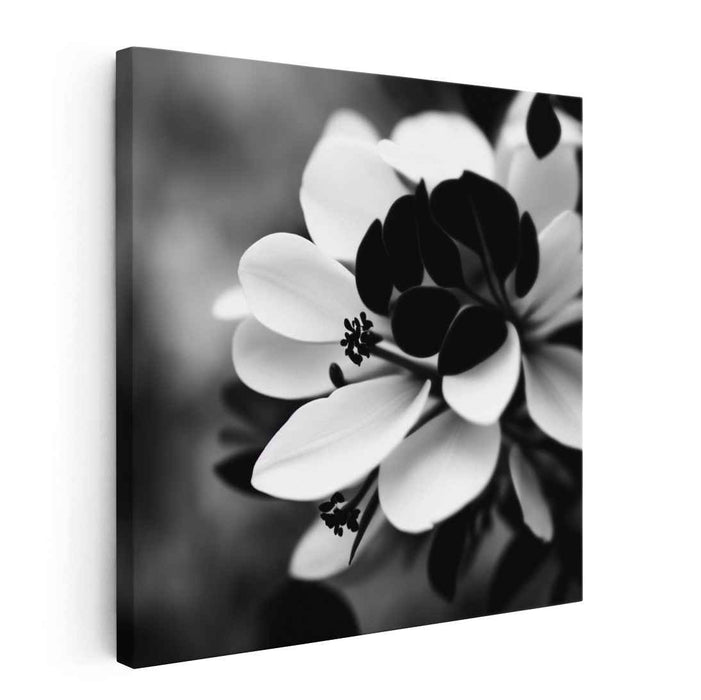 Floral Noir Etude: Monochrome Floral Symphony Canvas Art