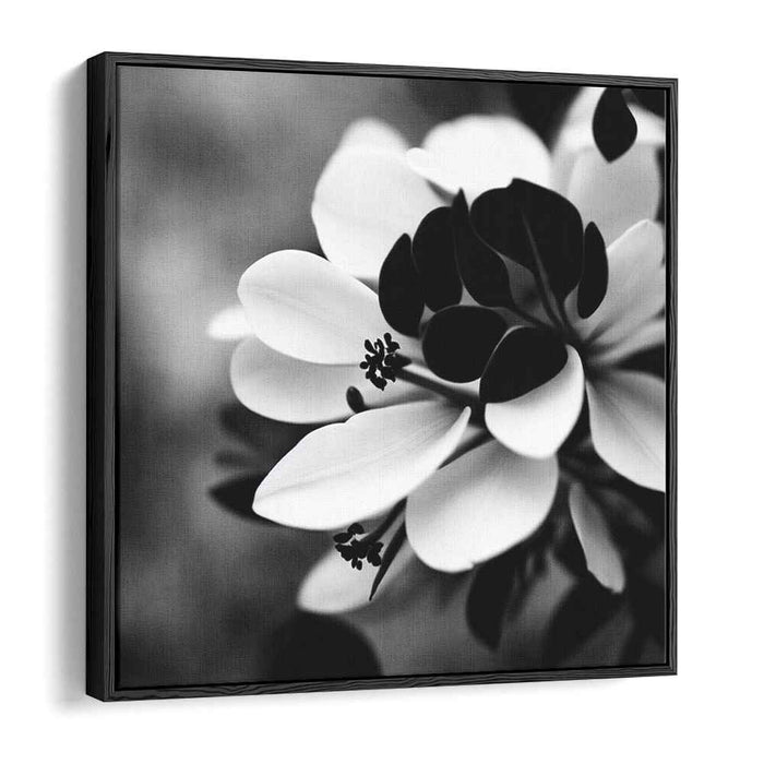 Floral Noir Etude: Monochrome Floral Symphony Canvas Art