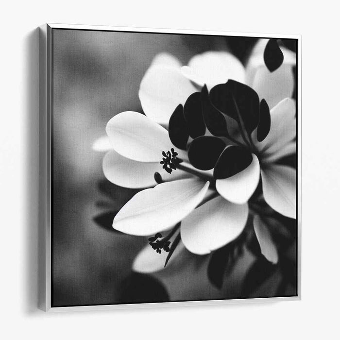 Floral Noir Etude: Monochrome Floral Symphony Canvas Art